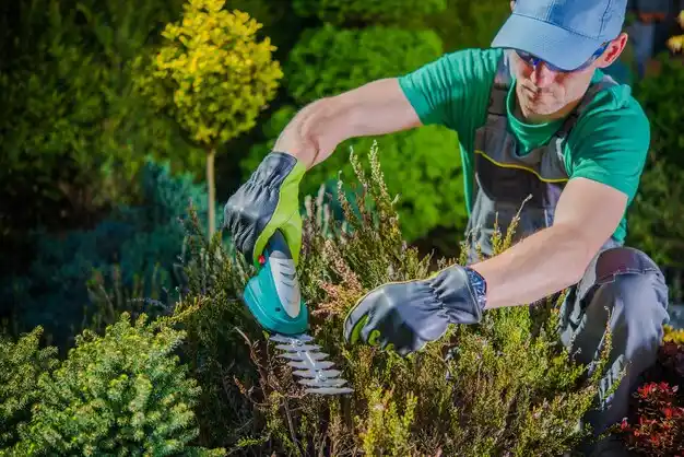 landscaping services Gloucester